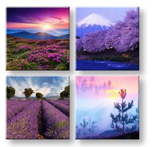 Obraz na stenu Everywhere purple - 40x40 cm
