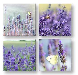 Obraz na stenu Lavender dream - 40x40 cm