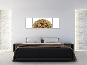 Pšenica, obraz (Obraz 170x50cm)