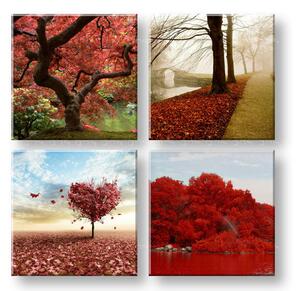 Obraz na stenu Colorful world - 40x40 cm