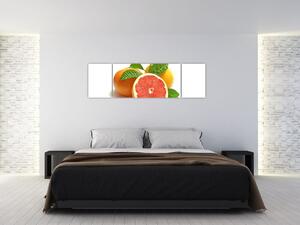 Grapefruit, obraz (Obraz 170x50cm)