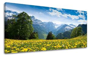 Obraz na stenu PANORÁMA KRAJINA - 30x60 cm