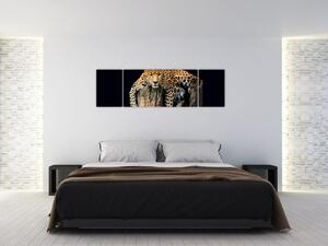 Leopard, obraz (Obraz 170x50cm)