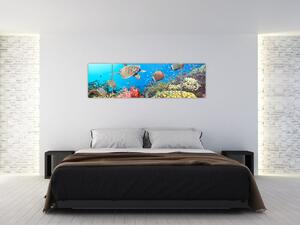 Podmorský svet, obraz (Obraz 170x50cm)