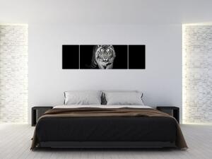 Tiger čiernobiely, obraz (Obraz 170x50cm)