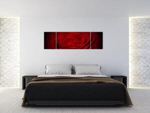 Makro ruža - obraz (Obraz 170x50cm)