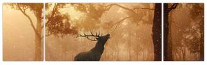 Jeleň v prírode (Obraz 170x50cm)