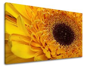 Obraz na stenu KVETY - 20x30 cm