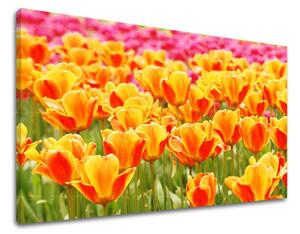 Obraz na stenu KVETY - 20x30 cm