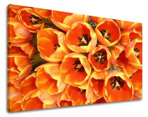 Obraz na stenu KVETY - 30x40 cm