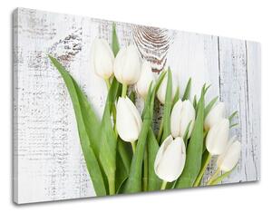 Obraz na stenu KVETY - 40x60 cm