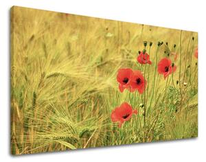 Obraz na stenu KVETY - 20x30 cm