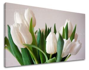 Obraz na stenu KVETY TULIPÁNY - 20x30