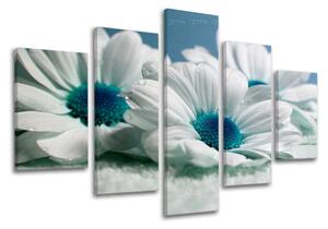 Obraz na stenu KVETY - 100x80