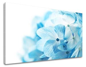 Obraz na stenu KVETY - 20x30