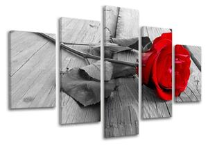 Obraz na stenu KVETY - 100x80