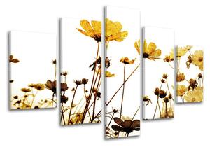 Obraz na stenu KVETY - 100x80