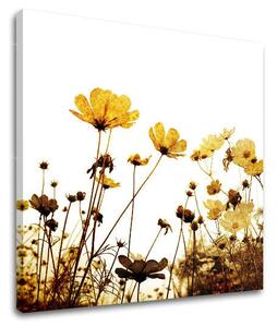 Obraz na stenu KVETY - 30x30