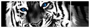 Tiger s mláďaťom, obraz (Obraz 170x50cm)