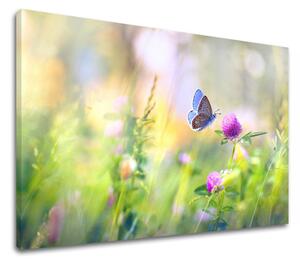 Obraz na stenu FAREBNÉ KVETY_161-11 - 20x30 cm