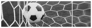 Futbalová lopta v sieti - obraz (Obraz 170x50cm)