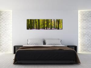 Obraz lesa (Obraz 170x50cm)