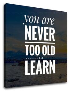 Motivačný obraz na stenu You are never too old - 30x30 cm