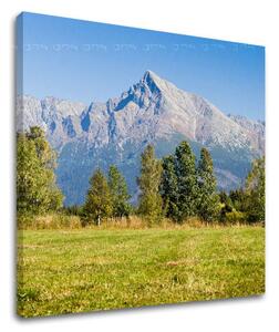 Obraz na stenu SLOVENSKO - 30x30 cm
