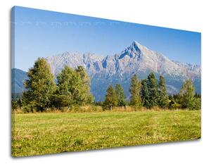 Obraz na stenu SLOVENSKO - 40x60 cm