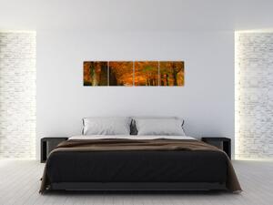Obraz cesty lesom na jeseň (Obraz 160x40cm)