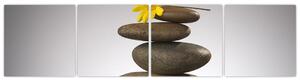 Relaxačné obraz - kamene (Obraz 160x40cm)