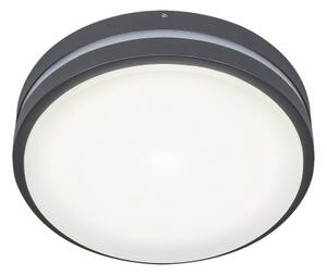 Rabalux 8847 - LED Vonkajšie nástenné svietidlo HAMBURG LED/10W/230V IP44