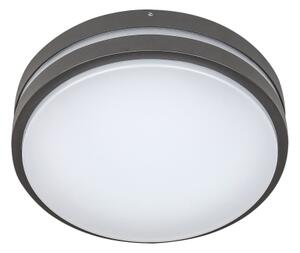 Rabalux 8847 - LED Vonkajšie nástenné svietidlo HAMBURG LED/10W/230V IP44