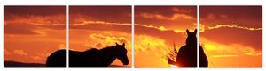 Obraz - kone pri západe slnka (Obraz 160x40cm)