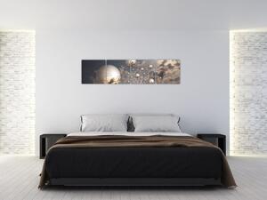 Abstraktné obraz - šedej gule (Obraz 160x40cm)