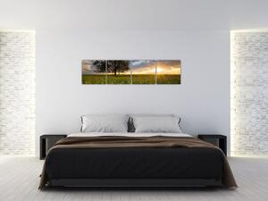 Moderný obraz - pole (Obraz 160x40cm)