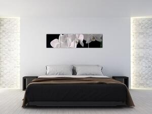 Obraz - biele orchidey (Obraz 160x40cm)