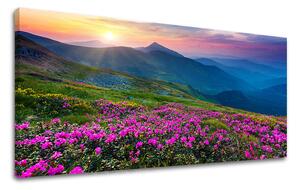 Obraz na stenu PANORÁMA SLOVENSKO - 30x60 cm