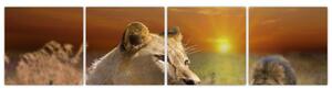 Obrazy zvierat (Obraz 160x40cm)