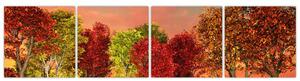 Obraz prírody - farebné stromy (Obraz 160x40cm)