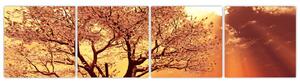Obraz prírody - strom (Obraz 160x40cm)