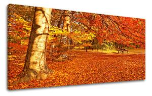 Obraz na stenu PANORÁMA STROMY - 30x60 cm