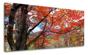 Obraz na stenu PANORÁMA STROMY - 30x60 cm