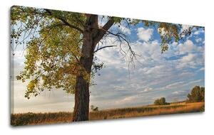 Obraz na stenu PANORÁMA STROMY - 30x60 cm