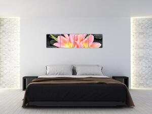 Obraz kvetov (Obraz 160x40cm)
