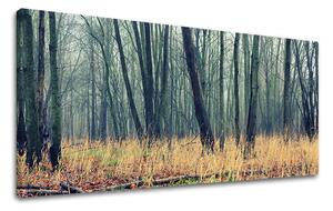 Obraz na stenu PANORÁMA STROMY - 30x60 cm