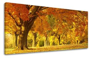 Obraz na stenu PANORÁMA STROMY - 30x60 cm