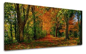 Obraz na stenu PANORÁMA STROMY 30x60 cm