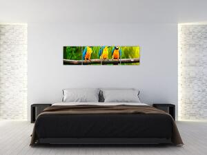 Moderný obraz - papagáje (Obraz 160x40cm)