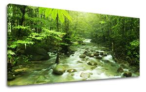 Obraz na stenu PANORÁMA STROMY - 30x60 cm